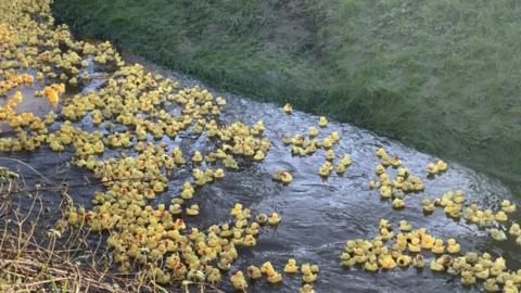 The annual Middle Rasen duck race