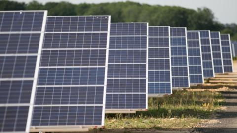 Nine ground-mounted solar panels in a field with tress behind them.