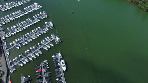 Algae by the marina