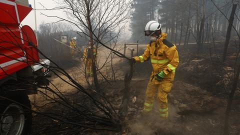 Firefighters work next to charred trees