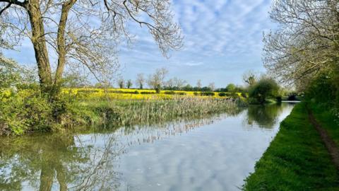 Perfect reflection on a still summer morning on the Oxford Canal with rapeseed fields in the background and cirrocumulus clouds overhead.