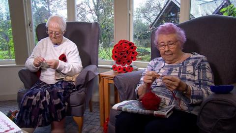Poppy knitting