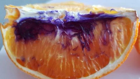 An orange slice, with much of it appearing purple