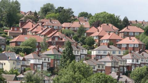 A photograph showing trees in the gardens of houses in Sheffield