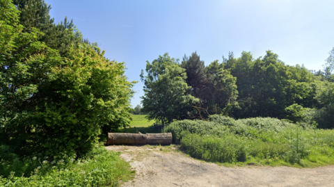 A Google Maps picture, showing trees and a large felled tree, in front of an open field in Swallowfield 