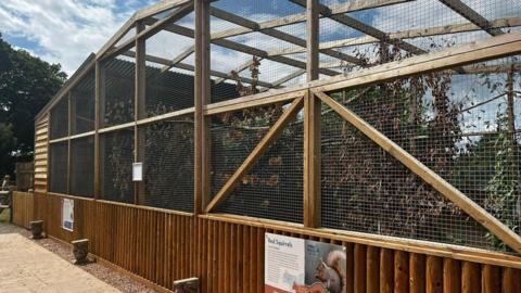 An outdoor squirrel enclosure at a farm. It has a wood and mesh structure with trees inside and leaves against the mesh. An information sign about red squirrels is on a wooden fence at the bottom of the outside of the enclosure. 
