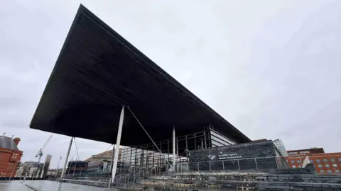 Senedd