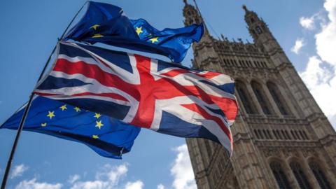 Flags outside Parliament