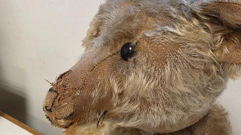 A close up photo of a teddy bear head, which shows lots of sign of wear and missing fur, as well as loose stitches.