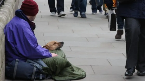 A man sits on a city street with a dog resting its head on his lap. The man is facing away from the camera and is wearing a blue top, purple hat and has a green sleeping bag over his legs.