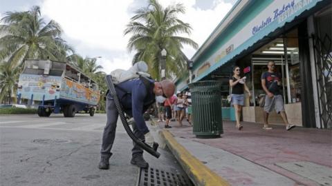 A Miami-Dade mosquito control inspector sprays a chemical mist into a storm drain.