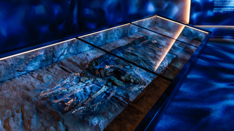 A blue room with different patterned blue lights shining down to make the space look like it is underwater. There is a glass case on the left side. 