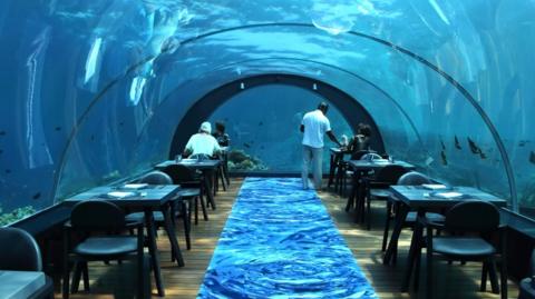 Undersea restaurant, Maldives