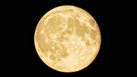 A huge, yellow moon on a black background. You can see spots and detail on it.