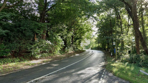 A winding country a-road, curving through dense green woodland. The road is empty and it is a sunny day.