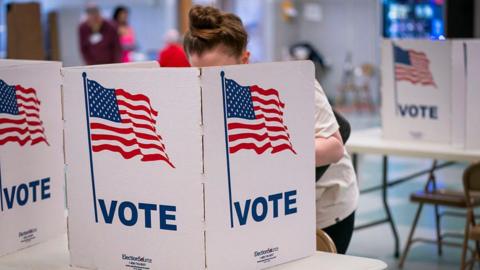 A woman, whose face is obscured by a voting booth, casts a vote