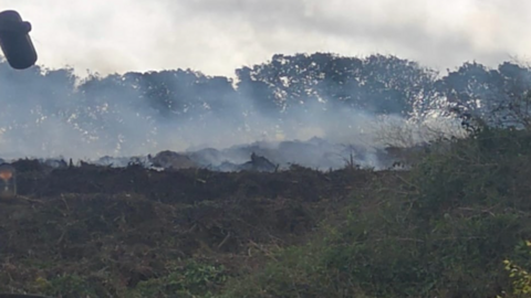 Smoke emerges from a pile of vegetation with a line of deciduous trees in the background and a hedge of an unknown species in the foreground with what could be an electrical instrument of unknown provenance on the top left of the picture in a scene reminiscent of the aftermath of a battle or a large funeral pyre.