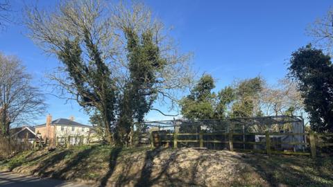 A view of a small mound next to the side of a road where several trees have been removed. A housing development can be seen behind the area and there is a chicken coop on show.