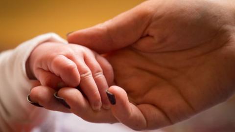 Mother holding a baby's hand