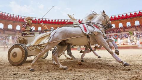 An actor in a Roman chariot and two white horses pulling it along in front of an audience inside an open air theatre 