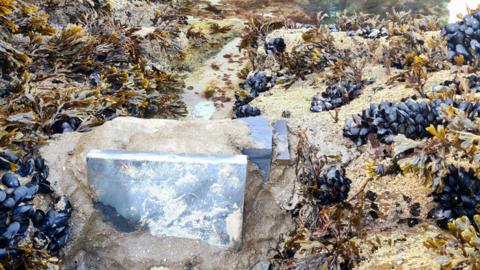 A photo which shows a concrete block in the forefront with a small tunnel of water. It is surrounded by sand and some seaweed on the sand which is brown and black.