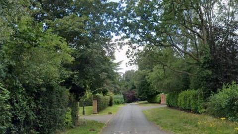 A road lined with trees and bushes on either side.