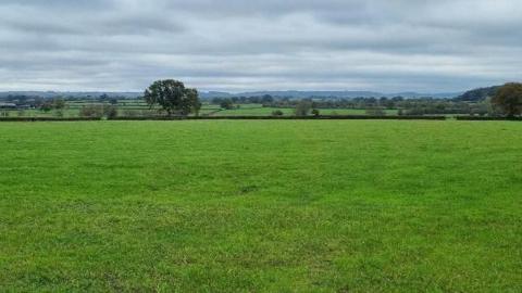 A lush green field in the foreground with a patchwork of green fields in the background, beyond a hedgerow. The fields in the background are also edged with hedges and trees. The sky is filled with grey clouds of varying shades.