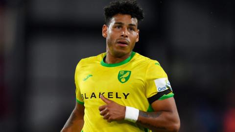 Onel Hernandez in action for Norwich