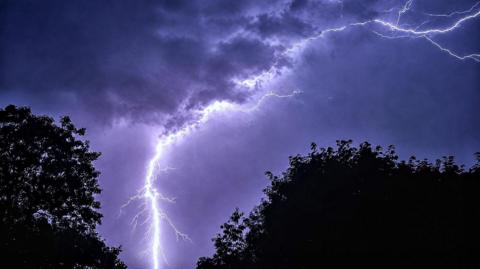 A white bolt of lightning lights up a dark purple, cloudy sky with silhouettes of trees in the foreground.