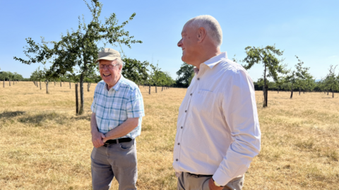 Two men stand in a field with trees planted in lines.