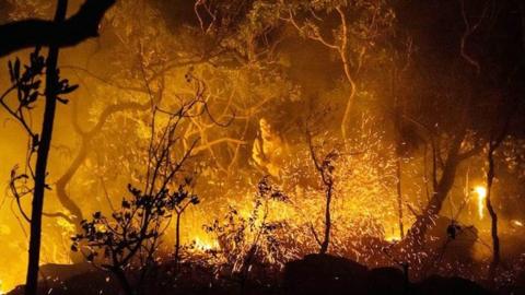 This handout picture released by Chico Mendes Institute for Biodiversity Conservation shows a firefighter working to extinguish a fire at Chapada dos Veadeiros National Park in the state of Goias, Midwest of Brazil on October 23, 2017.