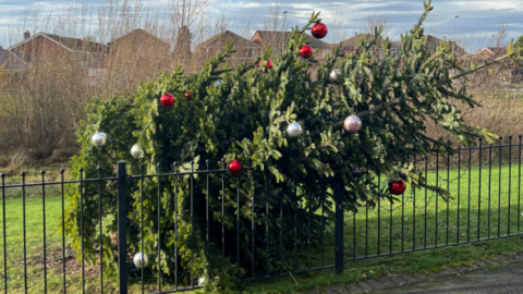 Tree chopped down with baubles in front of a green fence