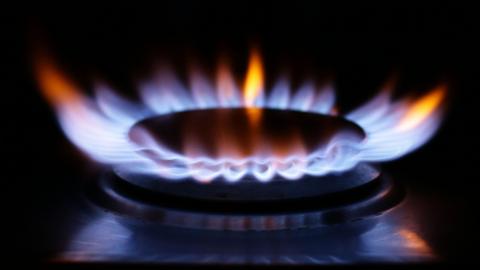 A lit ring on a gas stove, which has blue flames with orange tips.