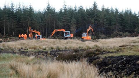 Diggers at work just outside a forest. A number of people in high visibility jackets are standing beside one of the diggers on the left.