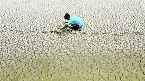 An Indian youth scouts around for mud crabs on a dried lake bed in Chennai, India