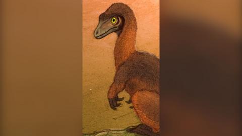 A cartoon image of an orange furry dinosaur. 