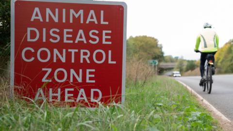 On a patch of grass by the side of a road there is a red sign which has been propped up. In white writing it reads, ANIMAL DISEASE CONTROL ZONE AHEAD. In the distance there is a car coming up the road and a cyclist wearing a fluorescent jacket cycling in the opposite direction, heading towards the control zone.