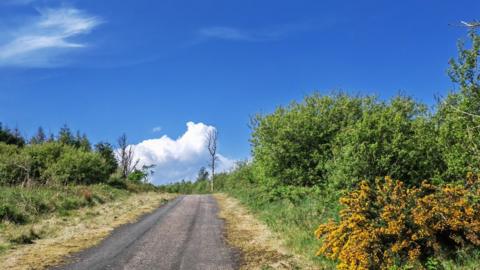 Blue sky with a white cloud with a road going through the centre and bushes to either side
