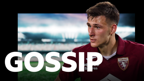 Torino midfielder Givdas Gineitis