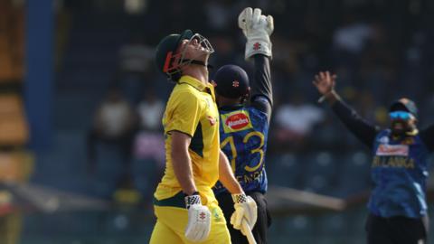 Sri Lanka celebrate Aaron Hardie's wicket