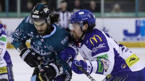 Belfast Giants