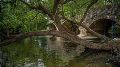 A general view of Wolvercote Mill Stream on June 09, 2025 in Oxford, England. It shows a tree with rope swings tied to it next to the stream - which has a stone bridge passing over it.