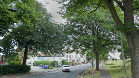 Hook Road in Goole, a wide tree-lined street with houses to the left of the photo and a grassy riverbank to the right.