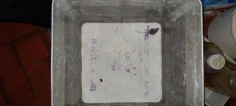 A top down view into a food storage container with a white bottom, where a mouse is sitting inside. There is dirty orange tiled flooring and bottles of oil or cleaning products.
