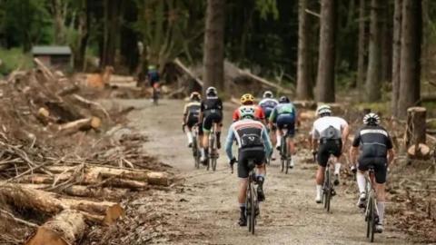 A group of cyclists on a path in the woodland.