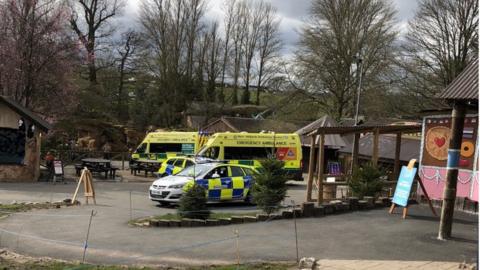 Ambulances and police cars at the safari park