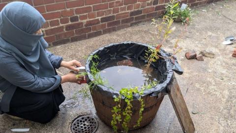 A person with a scarf covering their head and face kneels down outside tending to a large wooden basket full of water and plants