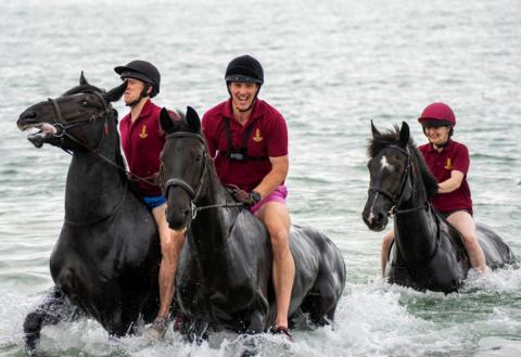 Household Cavalry horses in the sea during a training exercise on a Hampshire beach