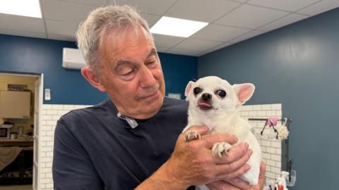 A man stands in a dog-grooming parlour holding a small white chihuahua dog. He has short grey hair and is wearing a black shirt. The dog has pink ears, black eyes and a pink tongue, which is poking out. The room has blue walls and white tiles.
