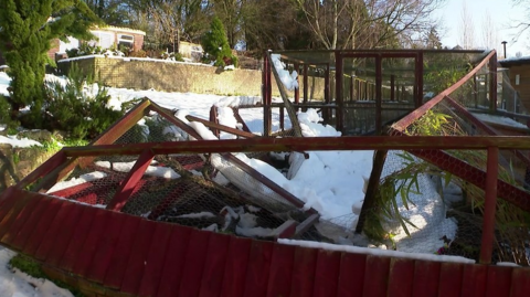 A red animal enclosure destroyed with snow covering it. The sides all have metal wires and it is totally collapsed on the floor. 